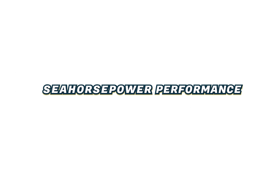 SEAHORSEPOWER PERFORMANCE